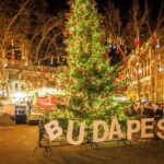 From Vienna: Budapest Christmas Market Day Trip - Who Will Get the Most Out of This Tour?