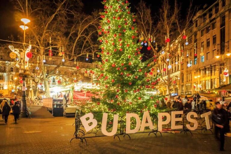 From Vienna: Budapest Christmas Market Day Trip - Who Will Get the Most Out of This Tour?
