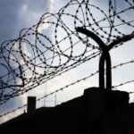 From Vienna: Private Guided Tour By Car Mauthausen Memorial - The Value of the Experience