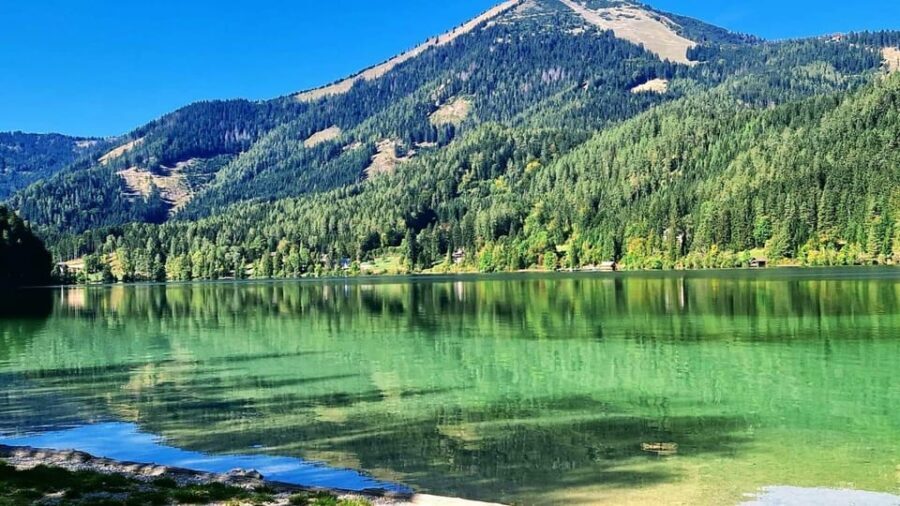 From Vienna: Private tour to Mariazell - Who Would Love This Tour?