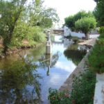 From Vilamoura: Traditional Algarve Full-Day Trip - Who Should Consider This Tour?