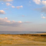 From Vilnius: Day Trip to Curonian Spit National Park - The Sum Up