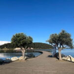 From Vlora: Zvernec, Apollonia & Berat Day Tour - Transportation & Logistics