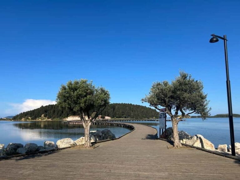 From Vlora: Zvernec, Apollonia & Berat Day Tour - Transportation & Logistics