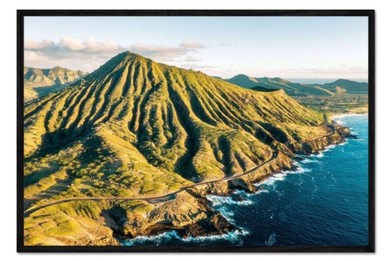 From Waikiki: Circle Island Tour - What Travelers Say: Real Experiences