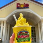 From Waikiki: Oahu Circle Island Tour - Who Would Love This Tour?