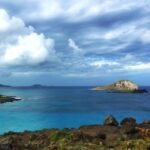 From Waikiki: Oahu Scenic Half-Day Circle Island Tour - Who Should Consider This Tour?