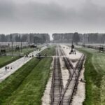 From Warsaw: Auschwitz-Birkenau Guided Tour with Fast Train - Who Should Consider This Tour?