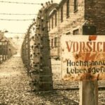 From Warsaw: Auschwitz-Birkenau Small Group Tour with Lunch - Analyzing the Value
