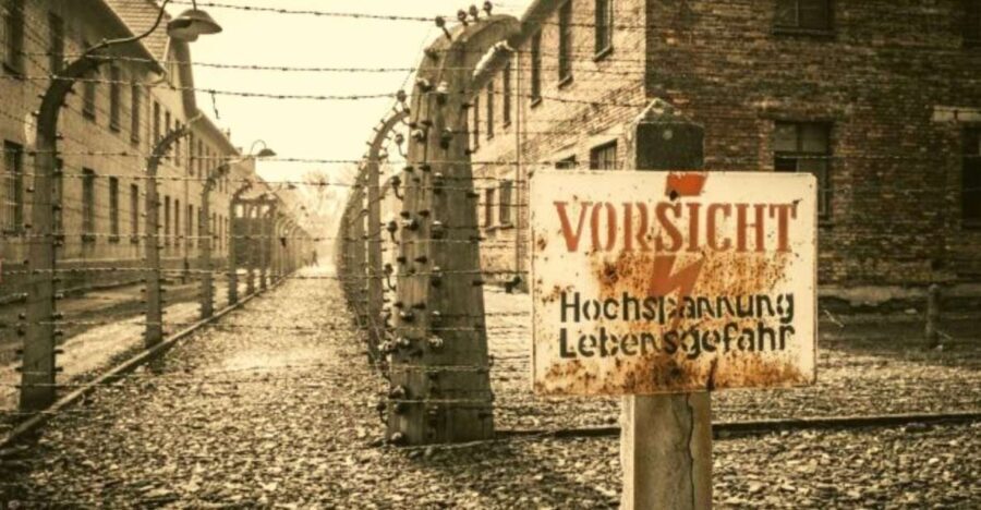 From Warsaw: Auschwitz-Birkenau Small Group Tour with Lunch - Analyzing the Value
