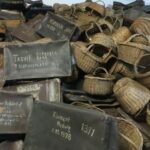 From Warsaw: Shared guided tour to Auschwitz-Birkenau - Key Points