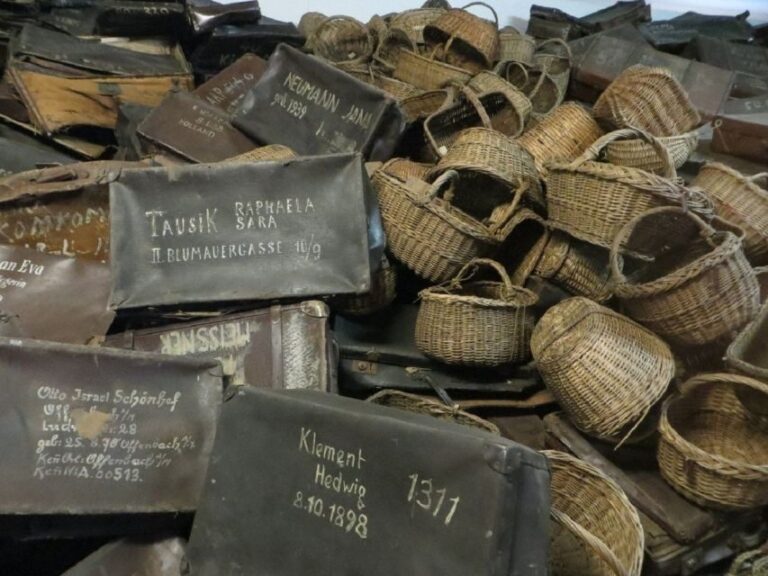 From Warsaw: Shared guided tour to Auschwitz-Birkenau - Key Points