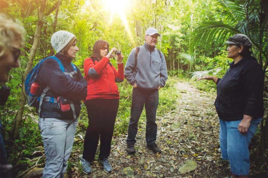 From Wellington: Kapiti Island Classic Guided Day Tour - Why This Tour Offers Great Value