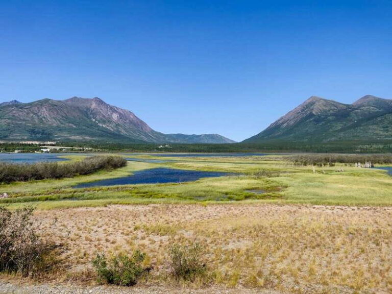 From Whitehorse: Skagway Day-Trip - The Value of the Tour