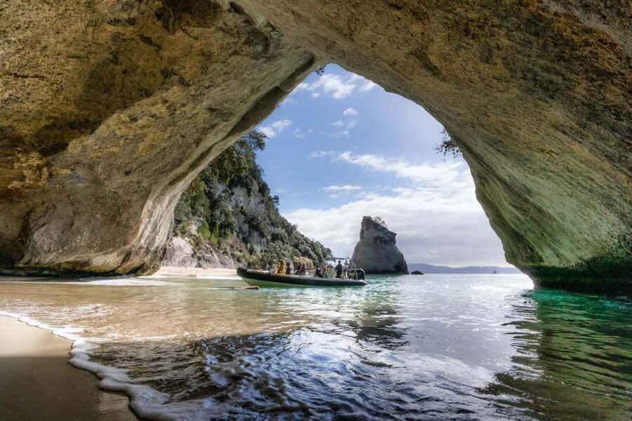 From Whitianga: Cathedral Cove Cruise with Snorkeling - An In-Depth Look at the Cathedral Cove Cruise Experience