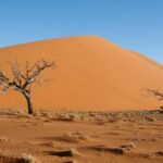 From Windsor: 2-Day Phillip Island & Wilsons Promontory Tour - An In-Depth Look at the Tour Experience