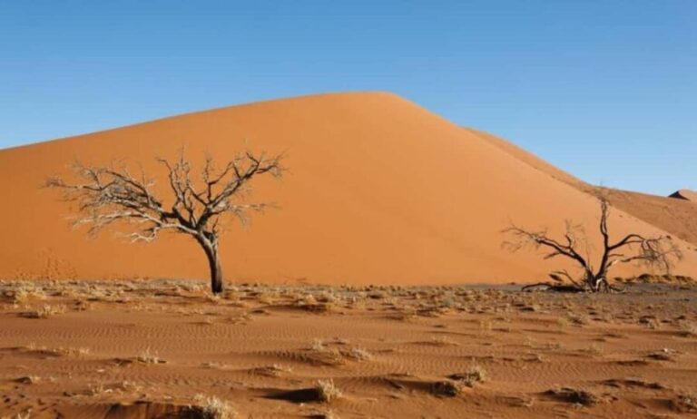 From Windsor: 2-Day Phillip Island & Wilsons Promontory Tour - An In-Depth Look at the Tour Experience