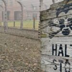 From Wrocaw: Full-Day Auschwitz-Birkenau Guided Tour - Who Should Consider This Tour?