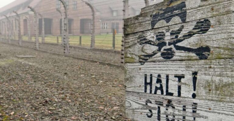 From Wrocaw: Full-Day Auschwitz-Birkenau Guided Tour - Who Should Consider This Tour?