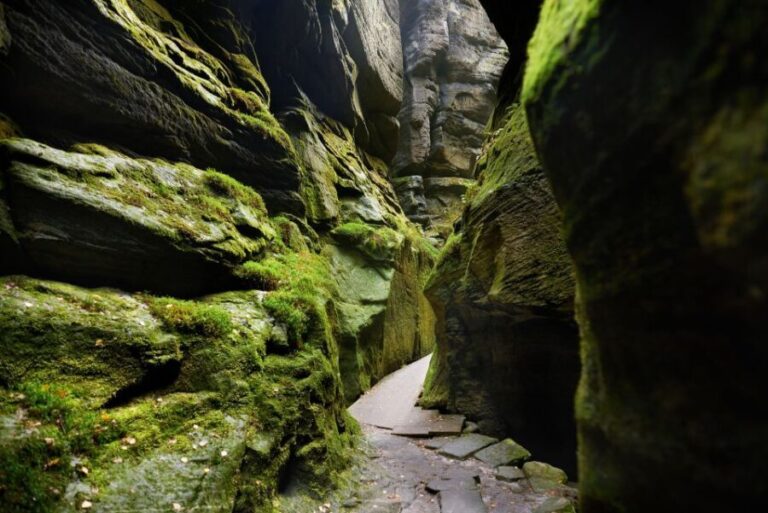 From Wroclaw: Hiking Trail in Rock City Adrspach - Exploring the Journey: What to Expect on Your Day Trip to Rock City Adrspach