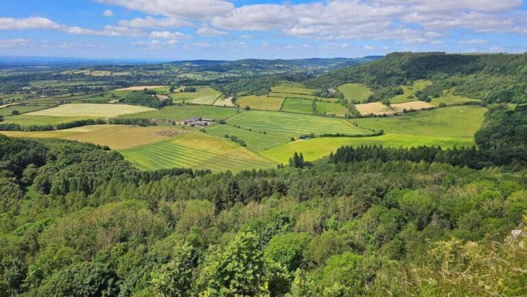 From York: North Yorkshire Moors, Steam Train and Whitby - The Charm of Goathland and the Train Ride