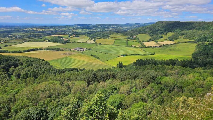 From York: North Yorkshire Moors, Steam Train and Whitby - The Charm of Goathland and the Train Ride