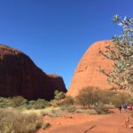 From Yulara: 3-Hour Small Group Kata Tjuta Afternoon Tour - The Experience in Perspective