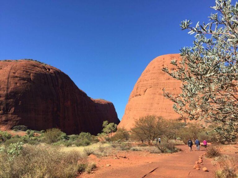 From Yulara: 3-Hour Small Group Kata Tjuta Afternoon Tour - The Experience in Perspective