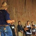 From Yulara: Uluru Tour and Sunset BBQ - Final Thoughts: A Well-Organized Day with Lasting Memories
