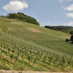 From Zagreb: Samobor Highlights & Wine Tasting in Pleivica - A Deeper Look at the Tour Experience