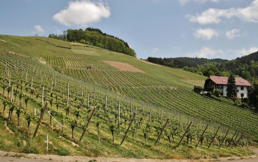 From Zagreb: Samobor Highlights & Wine Tasting in Pleivica - A Deeper Look at the Tour Experience