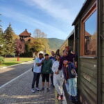 From Zlatibor/Uice: Mokra Gora & Tara National Park - What to Expect & Practical Considerations