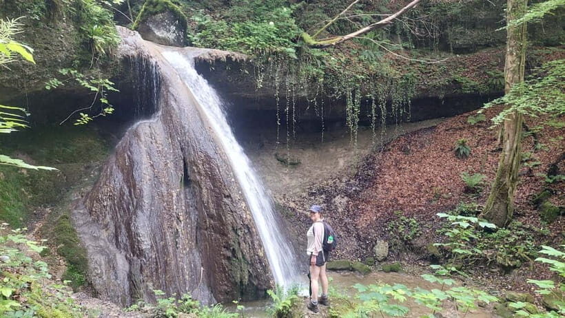 From Zug: Lorze Valley Forest Hike with Guide and Bus - A Closer Look at the Lorze Valley Forest Hike