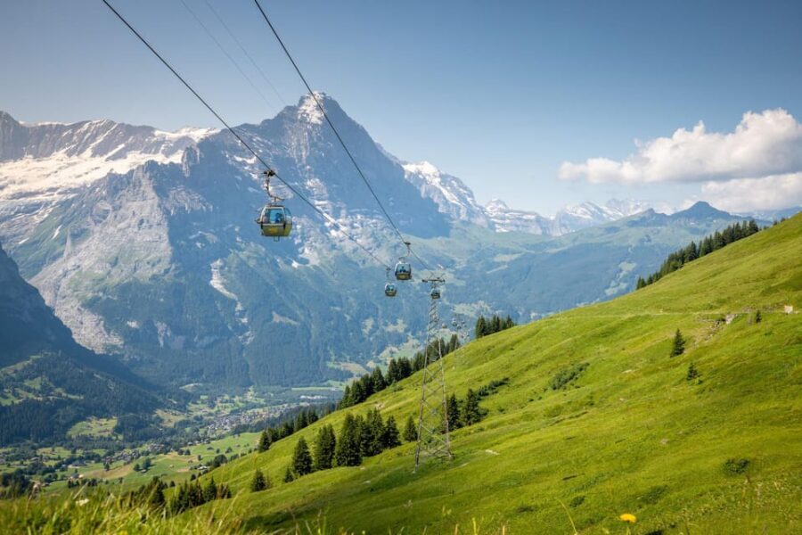 From Zurich: Grindelwald First Cable Car & Interlaken - Who Will Love This Tour?