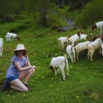 From Zurich: Hidden Swiss Gems Private Day Tour with a Local - Practical Considerations and Value Analysis