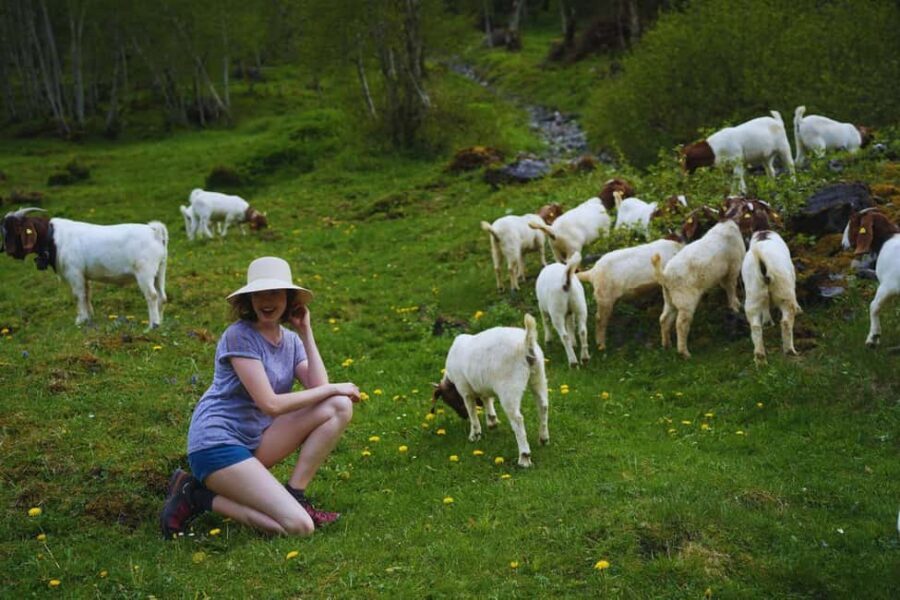 From Zurich: Hidden Swiss Gems Private Day Tour with a Local - Practical Considerations and Value Analysis