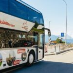 From Zurich: Mount Titlis with Ice Flyer & Lucerne Day Tour - The Value Proposition
