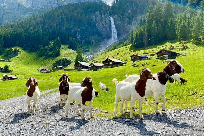 From Zurich: The most beautiful insider spots in Switzerland (private 1-day tour) - Key Insights