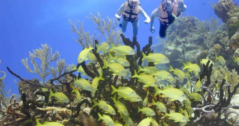 FromCancun: Puerto Morelos: Bike & Zip Line Tour - The Crystal-Clear Cenote: A Refreshing Stop
