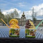 Frozen Mysteries: Catch Cobra & Savor Soft Ice in Dresden - What We Love About the Tour