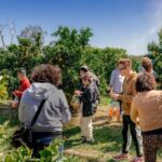 Fruit Picking & Nature Private Tour Yarra Valley & Warburton - The Sum Up