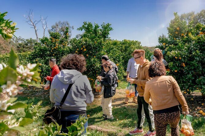 Fruit Picking & Nature Private Tour Yarra Valley & Warburton - The Sum Up