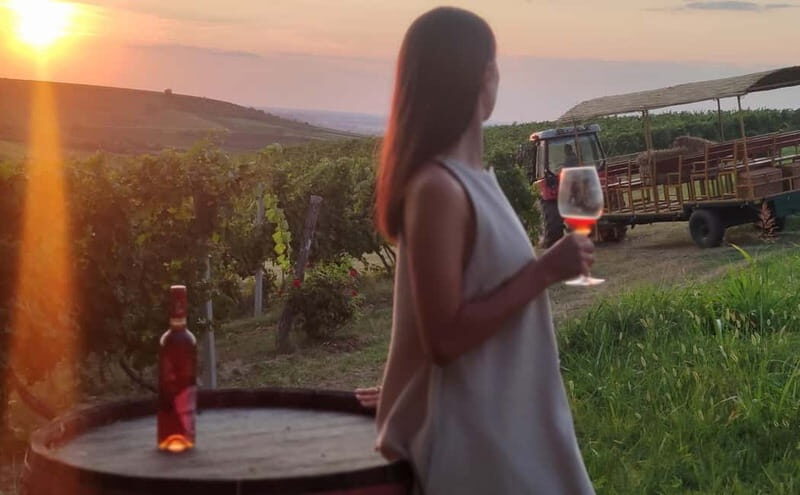 Fruka Gora Wine Tasting - Practical Tips for a Great Experience