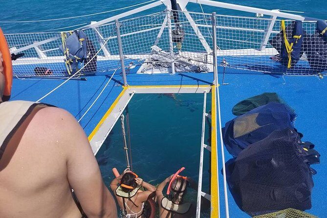 Ft Lauderdale to Key West with Optional Activities - Authentic Experiences and Practical Tips