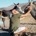 Fuerteventura Aloe & Olivo Tour with Optional Lunch - Exploring Fuerteventura’s Aloe & Olivo: A Deep Dive
