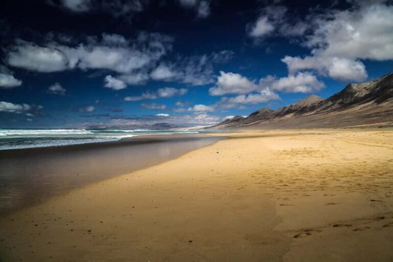 Fuerteventura: Cofete Beach and "Villa Winter" Tour - What the Reviews Say