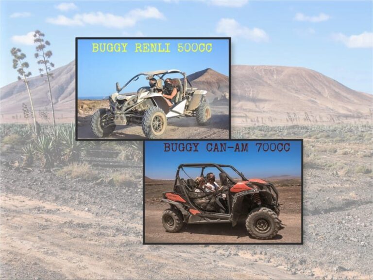 Fuerteventura: Dune Buggy Tour in Northern Fuerteventura - Exploring Fuerteventura in a Dune Buggy: What to Expect