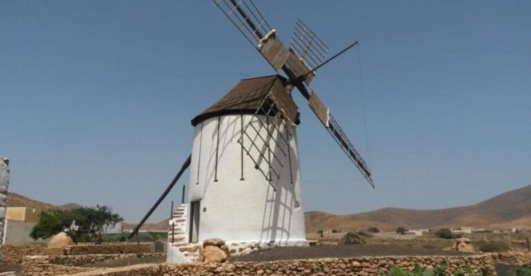 Fuerteventura: Full Day Tour with Lunch - Authenticity and Traveler Insights