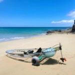 Fuerteventura: Transparent Electric Kayaks with Guide - Exploring Fuerteventura in See-Through Electric Kayaks