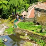 Full-Day 4x4 Nordeste Azores Tour from Ponta Delgada - Who Will Love This Tour?